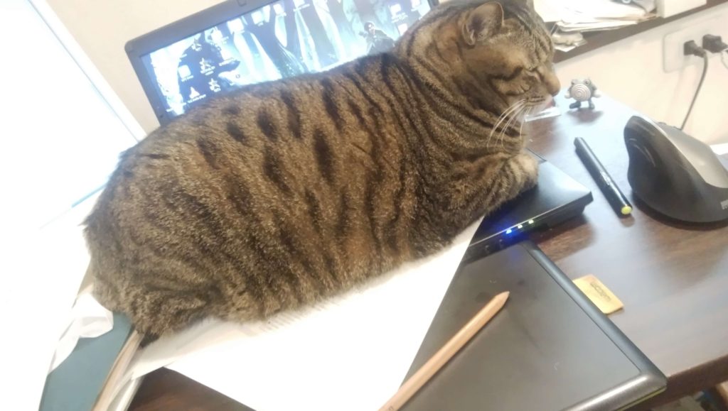 PC仕事のじゃまをする猫